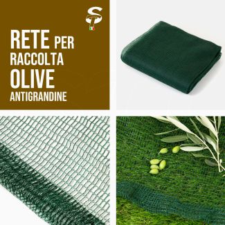 Red Antigranizo Liguria Recolección de Aceitunas Huertos Varias Medidas