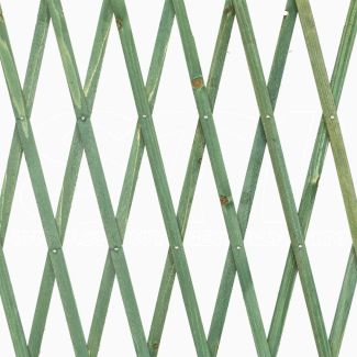 Traliccio in Legno verde grigliato estensibile 120x180 cm per piante e fiori