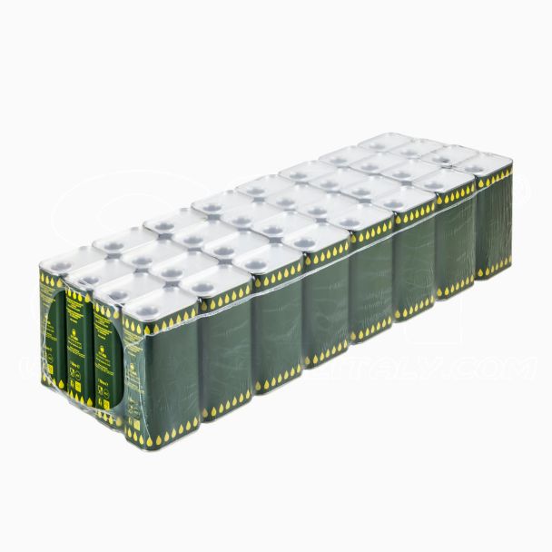 Offerta 32 pezzi Latta Rettangolare Lt 1 h 178mm per olio con tappo stagna tanica STI