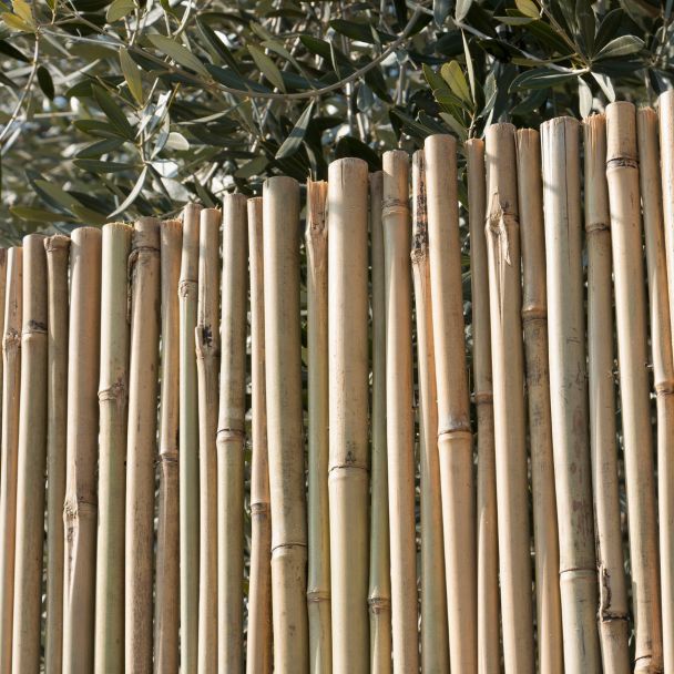 Arella canna passante recinzione coperture divisori ombreggiante 150x300cm