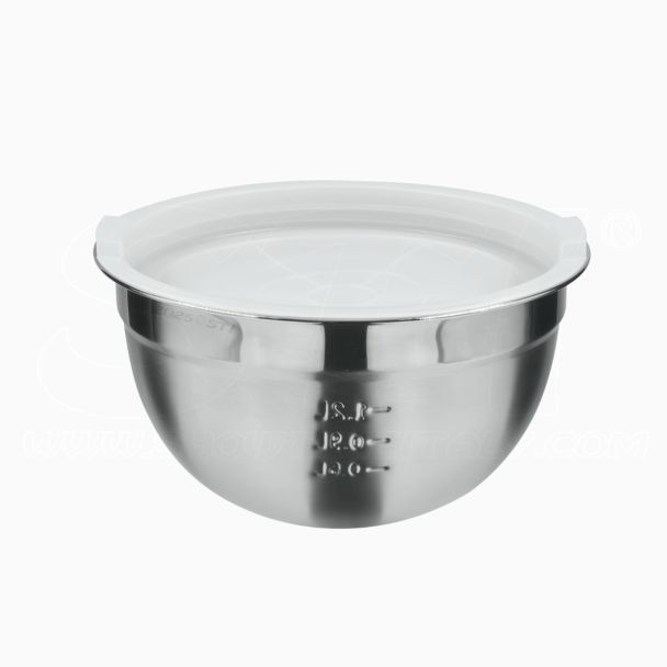 Ciotola Bowl in Acciaio Inox con Tappo Ermetico in Polietilene Cucina 20cm 2lt con Coperchio