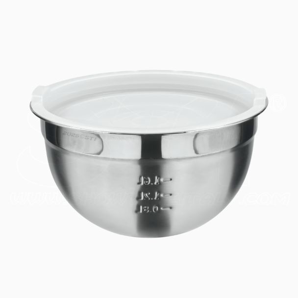 Ciotola Bowl in Acciaio Inox con Tappo Ermetico in Polietilene Cucina 22cm 2,9lt con Coperchio