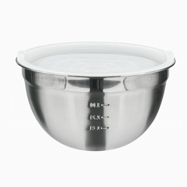 Ciotola Bowl in Acciaio Inox con Tappo Ermetico in Polietilene Cucina 26cm 4,6lt con Coperchio