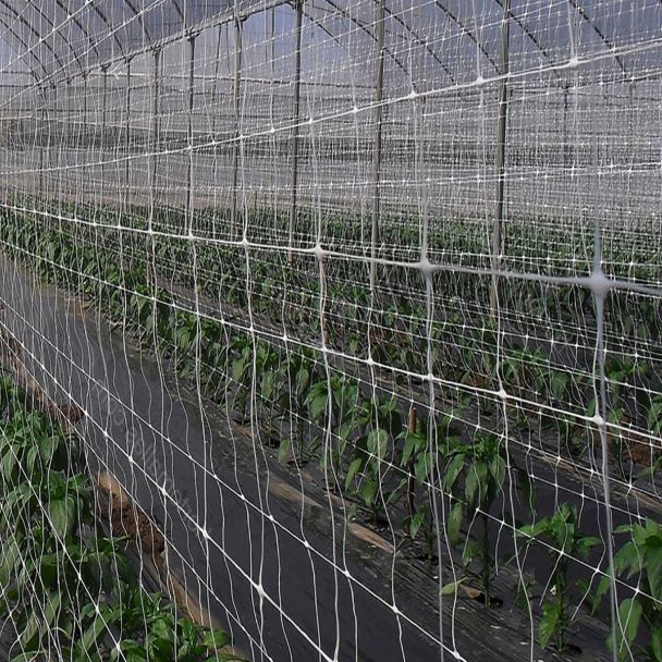 Rede para Apoio e Suporte para Plantas Ervilhas Vegetais Trepadeiras Nr07 1,5x100 mt