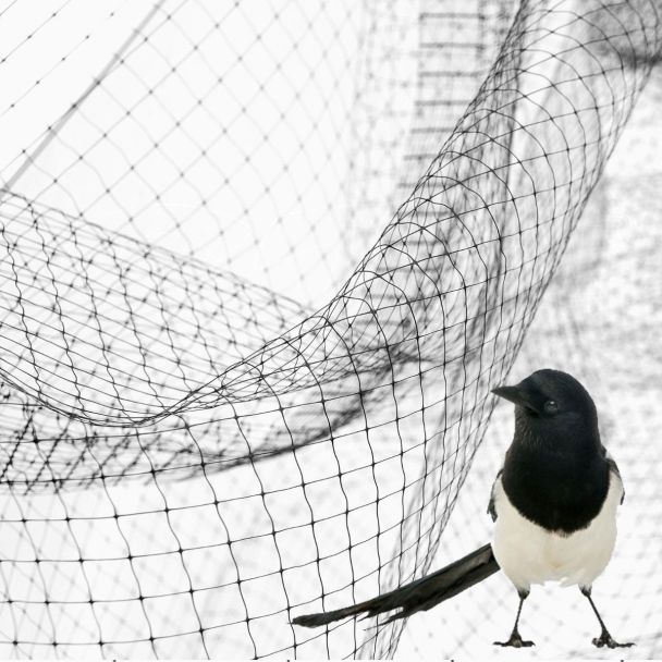 Red Antiuccelli Anti cobertura Aves Aves Verduras Plantas varios tamaños