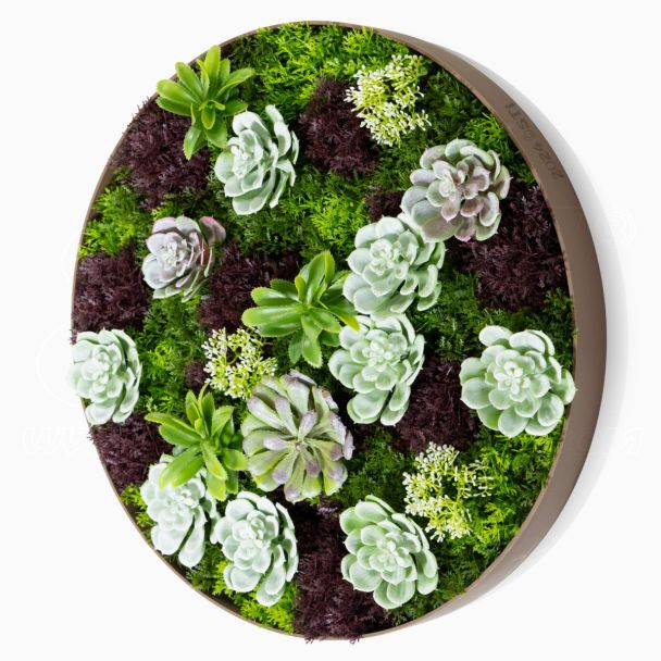 Quadro Vegetale 3D Elegante con piante artificiali rotondo 50cm Arte Vegetale STI