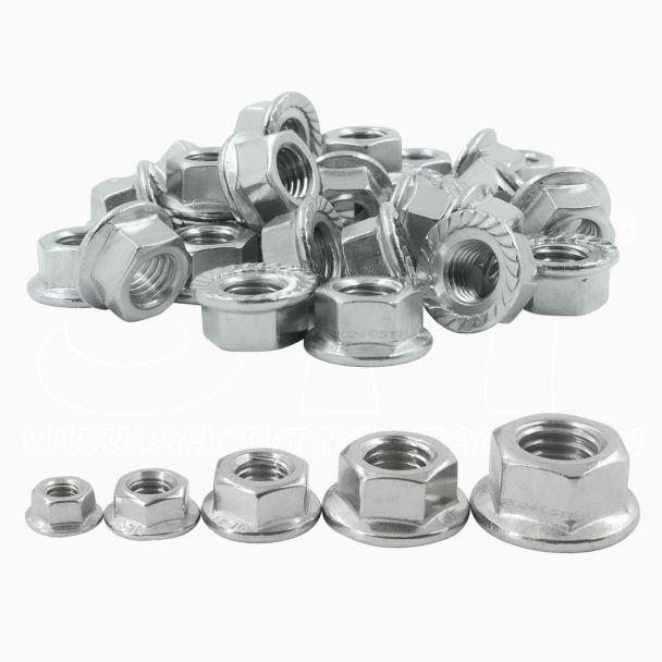 SET 100pz Dado Flangiato acciaio inox A2 20xM5 20xM6 20xM8 20xM10 20xM12 