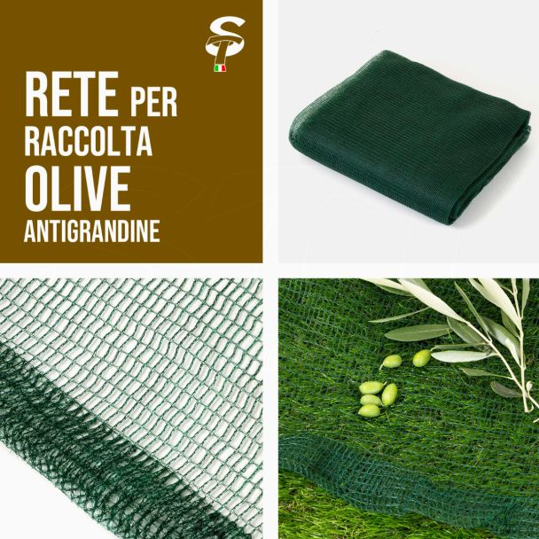 Red Antigranizo Liguria Recolección de Aceitunas Huertos Varias Medidas