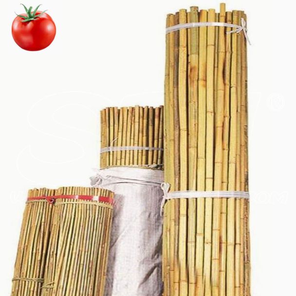 Cañas de Bambú reutilizables para soporte de verduras y tomates antifúngicas