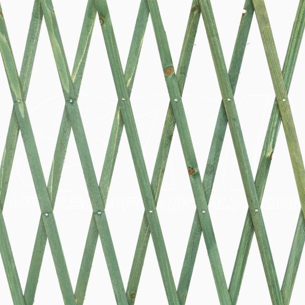 Traliccio in Legno verde grigliato estensibile 60x180 cm per piante e fiori